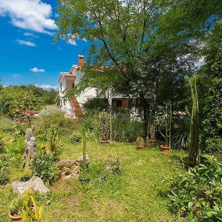 Apartments Valoda Nedescina Экстерьер фото