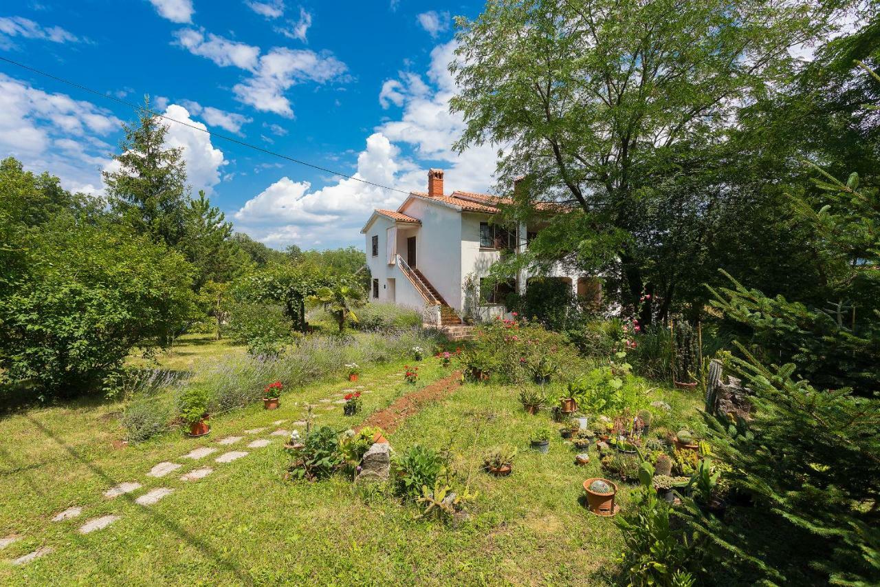 Apartments Valoda Nedescina Экстерьер фото
